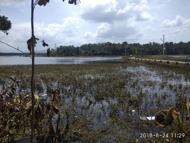 Photo 9 of 11 – We Stand By Kerala